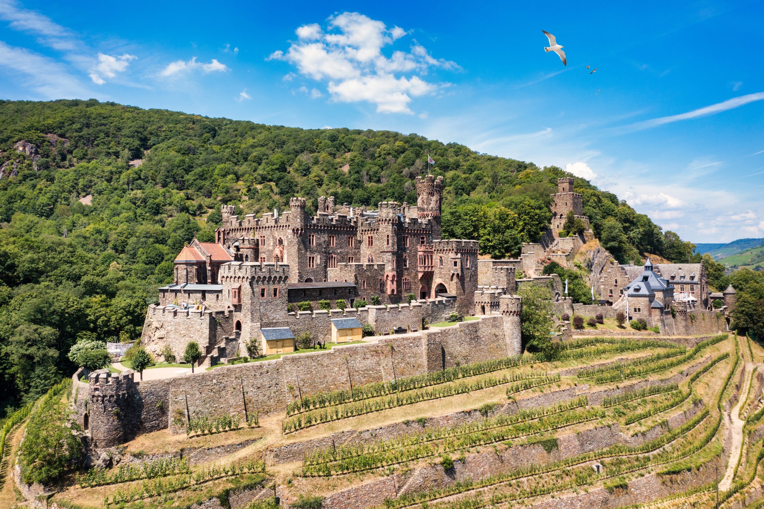 Panoramaaufnahme einer historischen Burganlage auf einem Hügel, umgeben von grünen Wäldern und Weinbergen. Über der Burg weht eine Fahne unter blauem Himmel mit weißen Wolken.